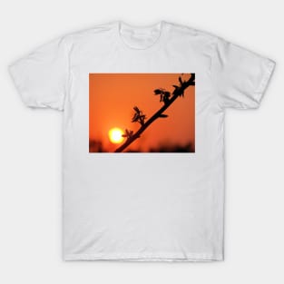 Beginning & End T-Shirt